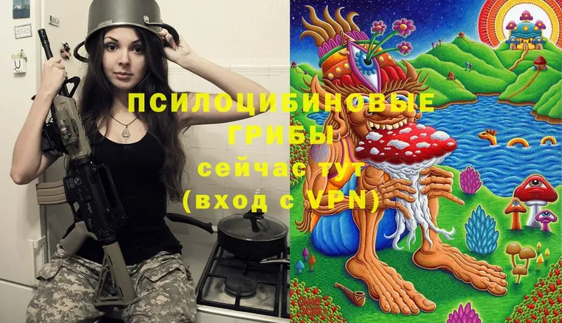 Галлюциногенные грибы Cubensis Воскресенск